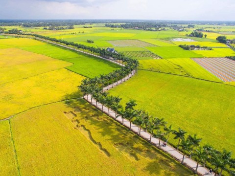 VẬN CHUYỂN THÀNH VINH